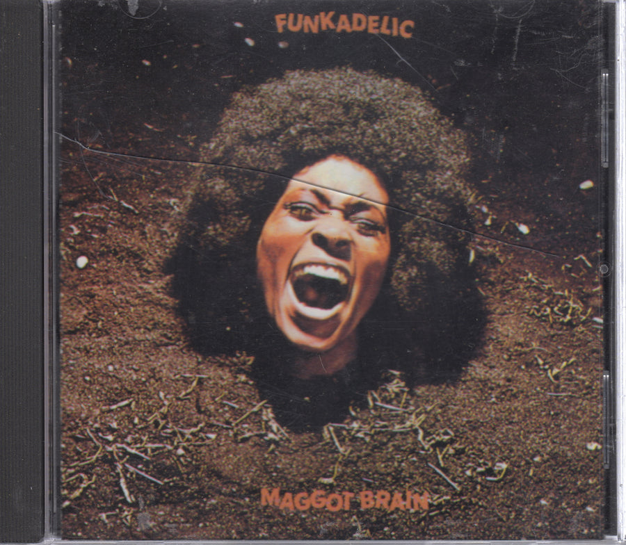 Funkadelic - Maggot Brain